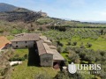 DJI_0047